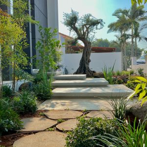 f5dcbd8c-c68b-4eac-9241-ee96ddb87a59